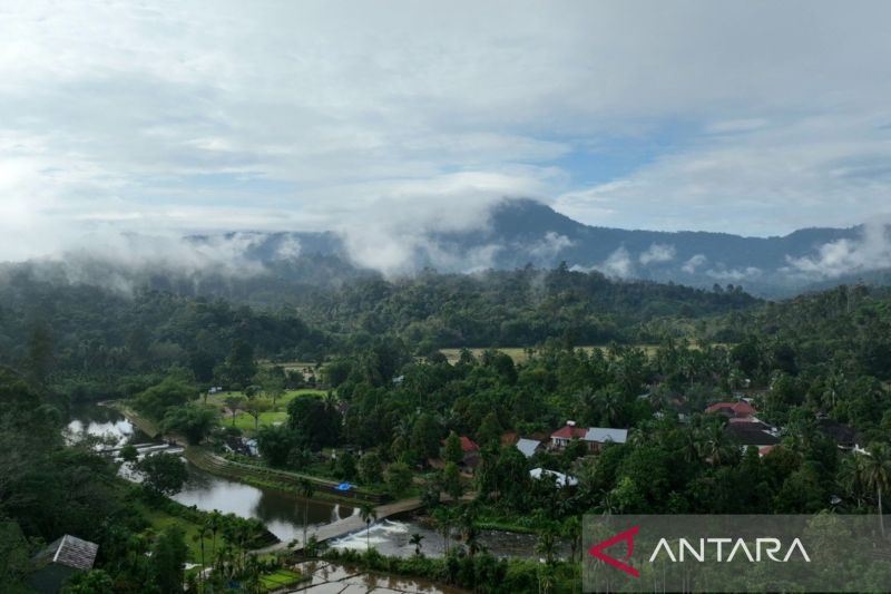 Kemenhut Tingkatkan Peran Perdagangan Karbon yang Berkelanjutan