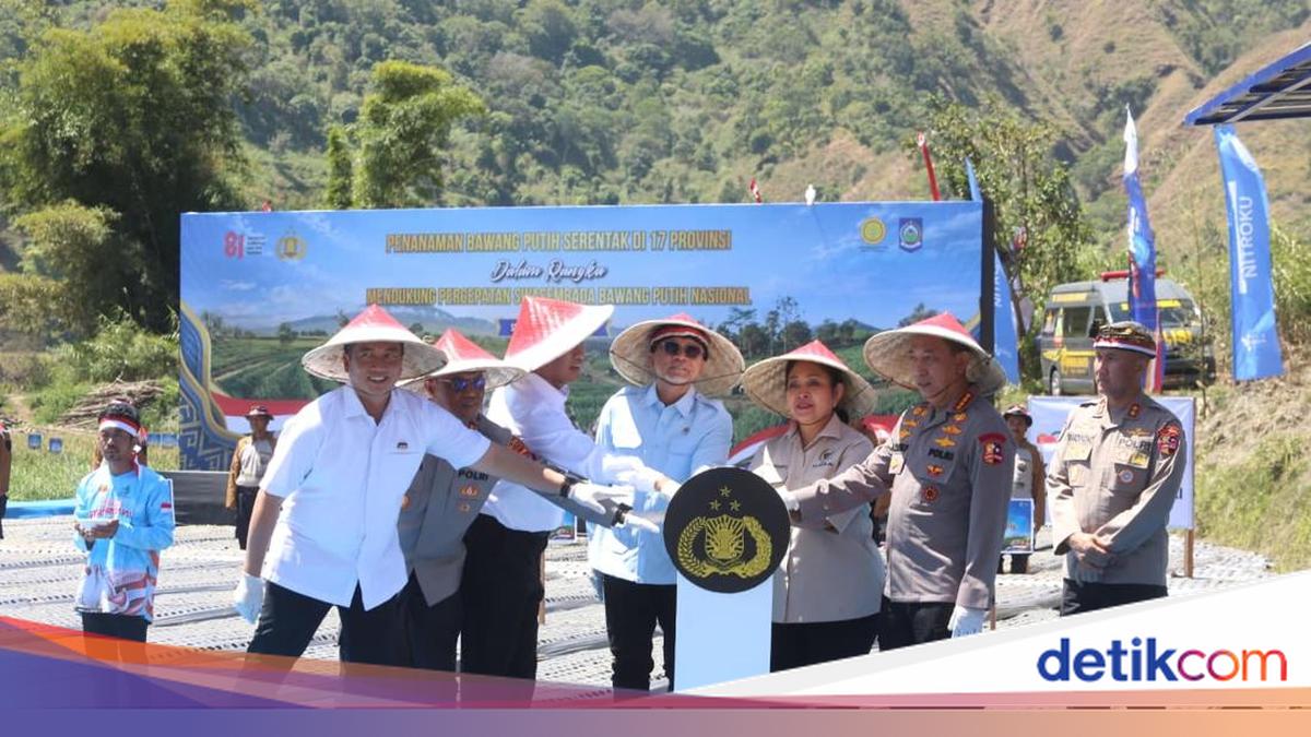 Kemenko Pangan Perkuat Ekosistem Bawang Putih Nasional