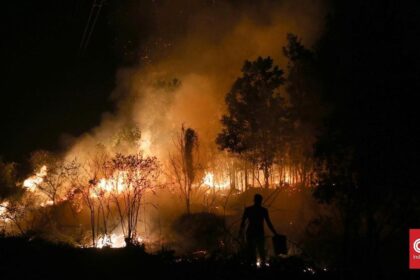 Kementerian Kehutanan Selidiki Kebakaran 25 Hektare Hutan di Sumsel
