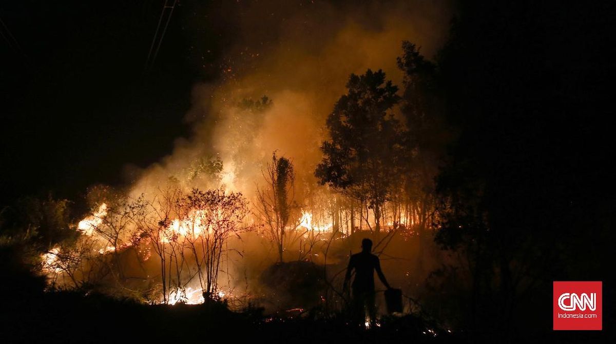 Kementerian Kehutanan Selidiki Kebakaran 25 Hektare Hutan di Sumsel