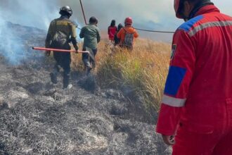Pakar Ungkap Penyebab Api Loncati Lautan Pasir Bromo