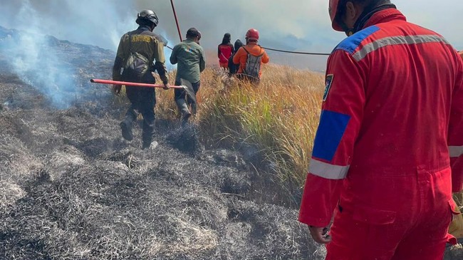 Pakar Ungkap Penyebab Api Loncati Lautan Pasir Bromo