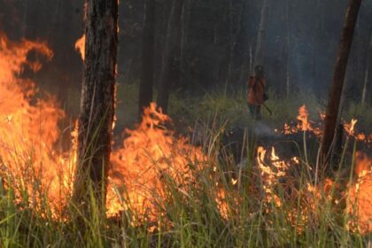 Pemerintah Imbau Hentikan Pembakaran Lahan Tradisional Saat Karhutla