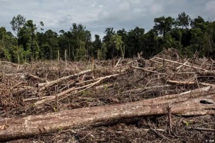 Sejarah Majapahit: Hukuman Mati bagi Pelaku Perusakan Hutan