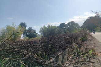Bitung catat 70 kasus kebakaran lahan hingga Agustus 2026