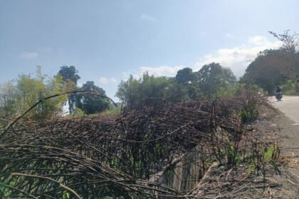 Bitung catat 70 kasus kebakaran lahan hingga Agustus 2026