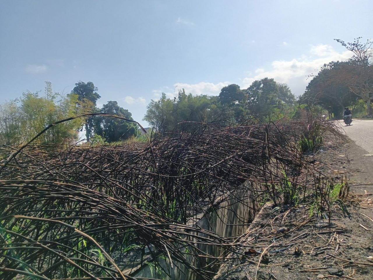 Bitung catat 70 kasus kebakaran lahan hingga Agustus 2026