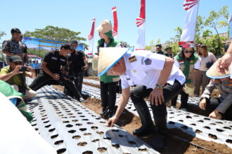 ​Langkah nyata Victor Mailangkay dorong kemandirian pangan Sulawesi Utara