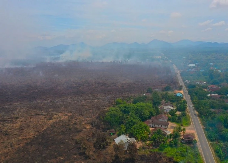 Kabut asap mengepung jutaan warga, karhutla berulang di lahan yang sama