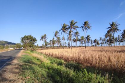 kekeringan