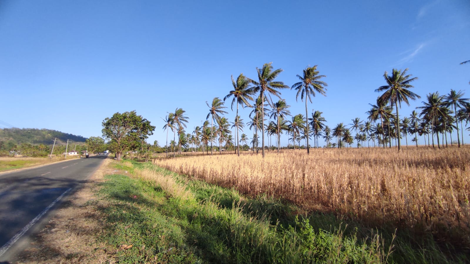 Lahan sawah terancam gagal panen, karhutla meningkat, dan krisis air mengintai beberapa daerah di Sulut 8 krisis air