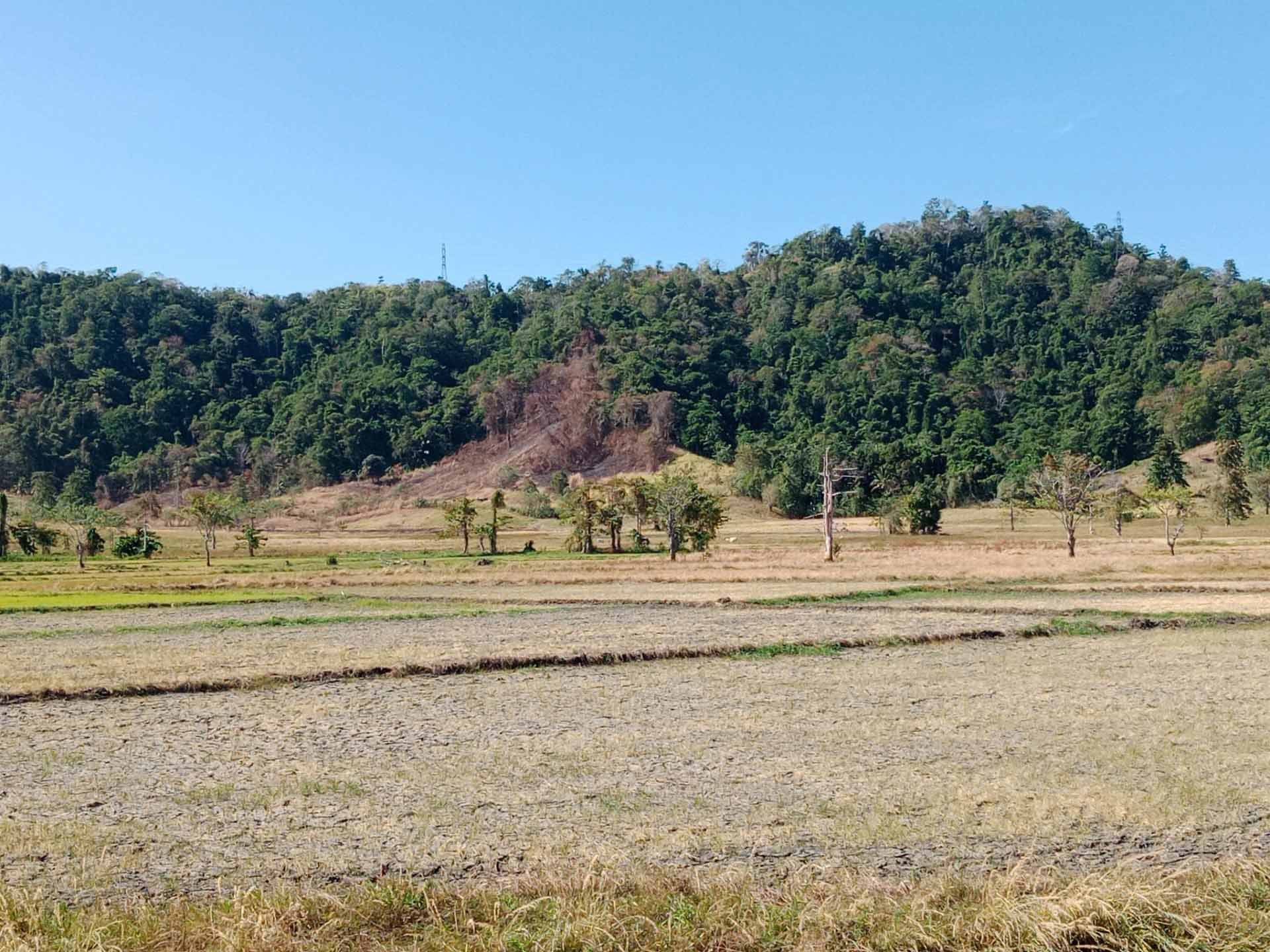 Kemarau ekstrem El Nino landa Sulawesi Utara: Kebakaran hutan hingga ancaman terhadap pertanian 10 el nino