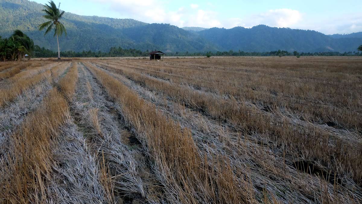 Merdeka, tetapi petani masih membeli air 8 merdeka
