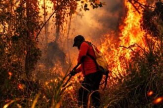 ​Wilayah Rumesung terbakar, BPBD catat 133,53 hektar lahan terdampak Karhutla di Bitung