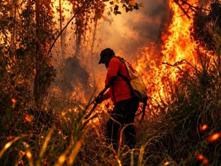​Wilayah Rumesung terbakar, BPBD catat 133,53 hektar lahan terdampak Karhutla di Bitung