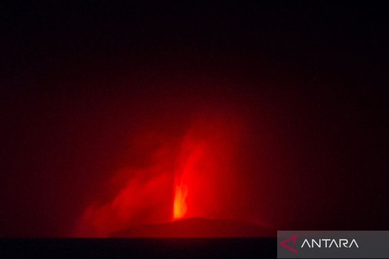 ANTARA Tingkatkan Koordinasi Cari Pewarta Foto Hilang Kontak
