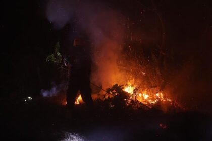 BNPB: 30 Titik Api Kebakaran Lahan Masih Menyala di Kalimantan Barat