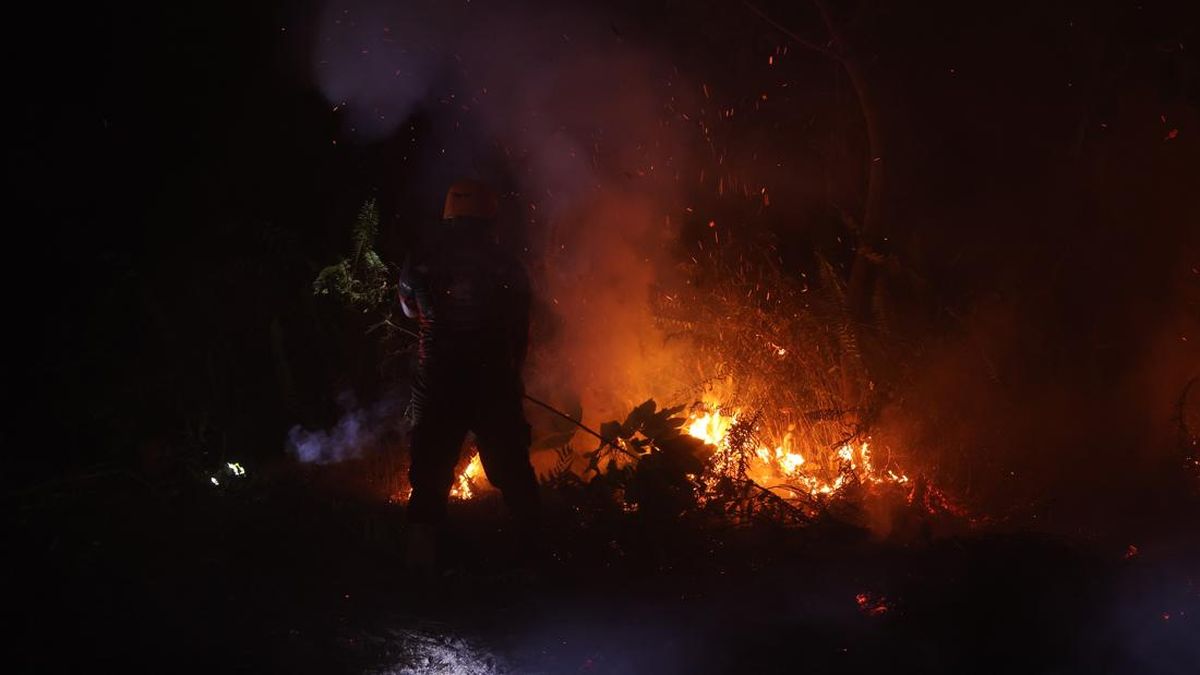 BNPB: 30 Titik Api Kebakaran Lahan Masih Menyala di Kalimantan Barat