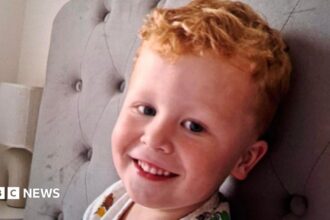 Balita Noah Woods Ditemukan Meninggal di Kolam Setelah Hilang di Suffolk