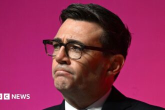 Burnham Akan Umumkan Badan Investasi untuk Jaringan Listrik Inggris