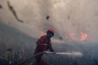 Hotspot Karhutla Jambi Berkurang, Partisipasi Warga Jadi Kunci