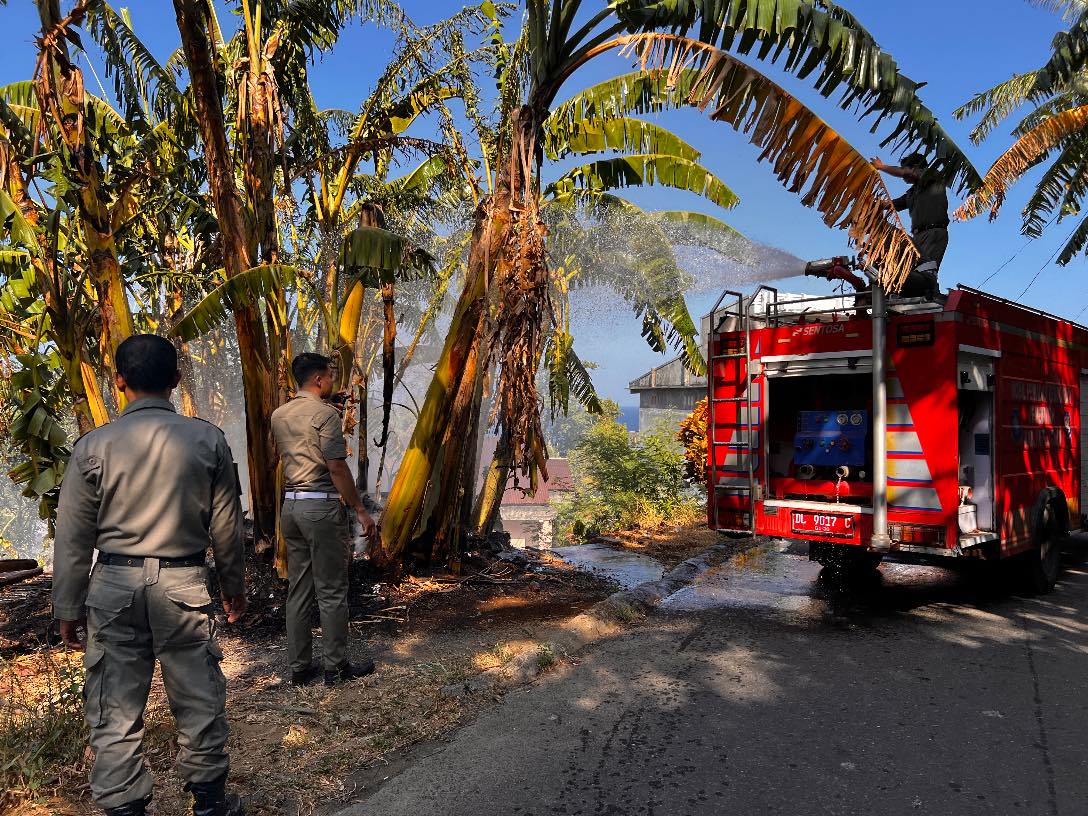 Kebakaran lahan terjadi di dua desa di Siau Barat Utara 8 Kebakaran lahan terjadi di dua desa di Siau Barat Utara