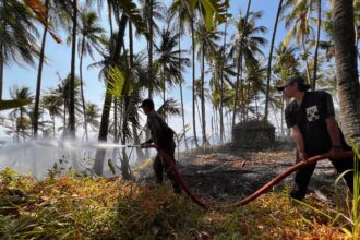 Kebakaran lahan terjadi di dua desa di Siau Barat Utara