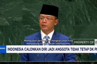 Indonesia Ajukan Diri Jadi Anggota Tidak Tetap DK PBB