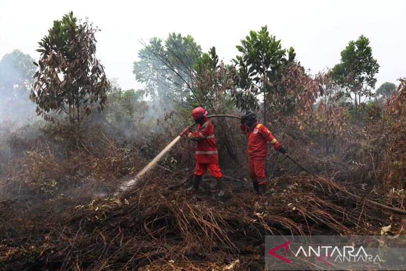 Kalbar Perpanjang Status Darurat Asap hingga 20 September 2026