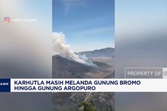 Karhutla Masih Melanda Gunung Bromo dan Gunung Argopuro