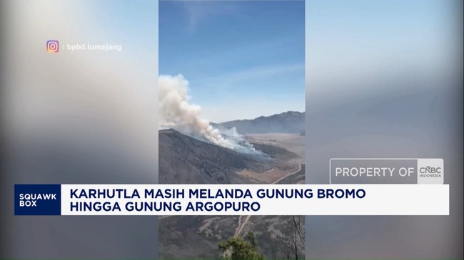 Karhutla Masih Melanda Gunung Bromo dan Gunung Argopuro