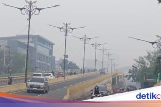 Kasus ISPA di Riau Tembus 11 Ribu karena Karhutla Meluas