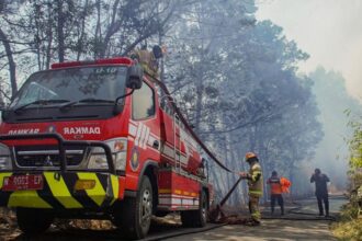 Kebakaran Hutan Bromo Merembet ke Jalan Raya Malang-Lumajang