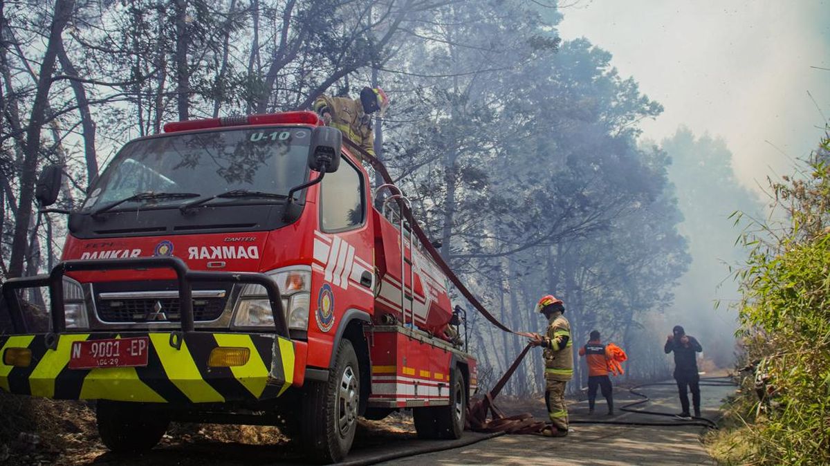 Kebakaran Hutan Bromo Merembet ke Jalan Raya Malang-Lumajang