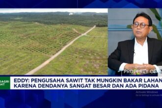 Kemarau Panjang Akibat El Nino Hambat Angkutan CPO