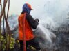 Kemenhut dan BMKG Intensifkan Hujan Buatan untuk Karhutla di Kalimantan dan Jawa Timur