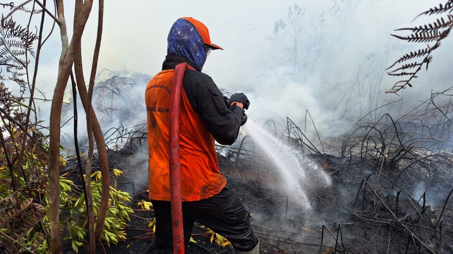 Kemenhut dan BMKG Intensifkan Hujan Buatan untuk Karhutla di Kalimantan dan Jawa Timur