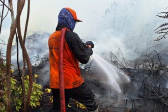 Kemenhut dan BMKG Intensifkan Hujan Buatan untuk Karhutla di Kalimantan dan Jawa Timur