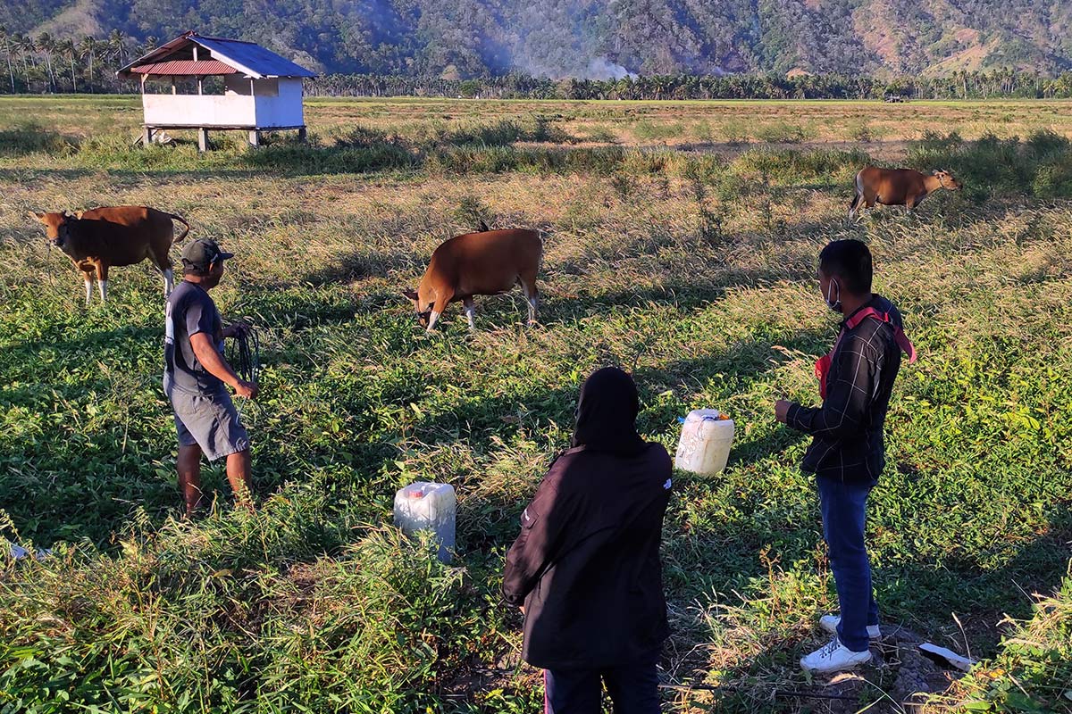 Yang tak pernah dihitung dari krisis iklim 12 pantau iklim