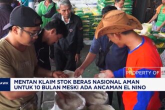 Menteri Pertanian Klaim Stok Beras Nasional Aman