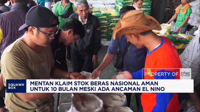 Menteri Pertanian Klaim Stok Beras Nasional Aman