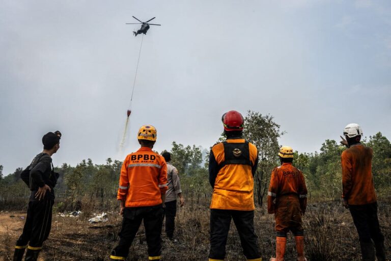 Pakar UI: Water Bombing Tak Efektif Atasi Karhutla pada Gambut