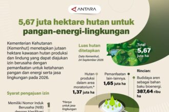 Pembukaan Jalan Tol Baru, Sertifikat Halal, Rupiah Menguat: Rangkuman Berita Nasional 30 September 2026