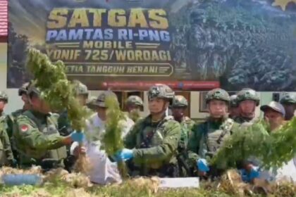 Penemuan Ganja, Karhutla, dan Pencarian Jurnalis: Rangkuman Berita Nasional 10 September 2026