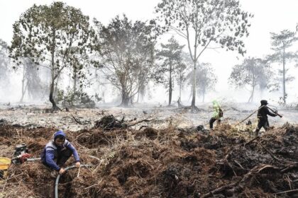 Petani Jambi Dijadikan Tersangka Karhutla setelah Pembakaran Lahan