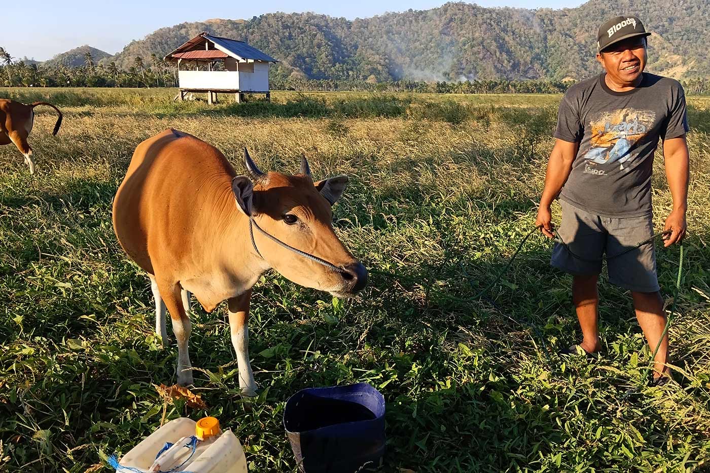 Yang tak pernah dihitung dari krisis iklim 17 peternak