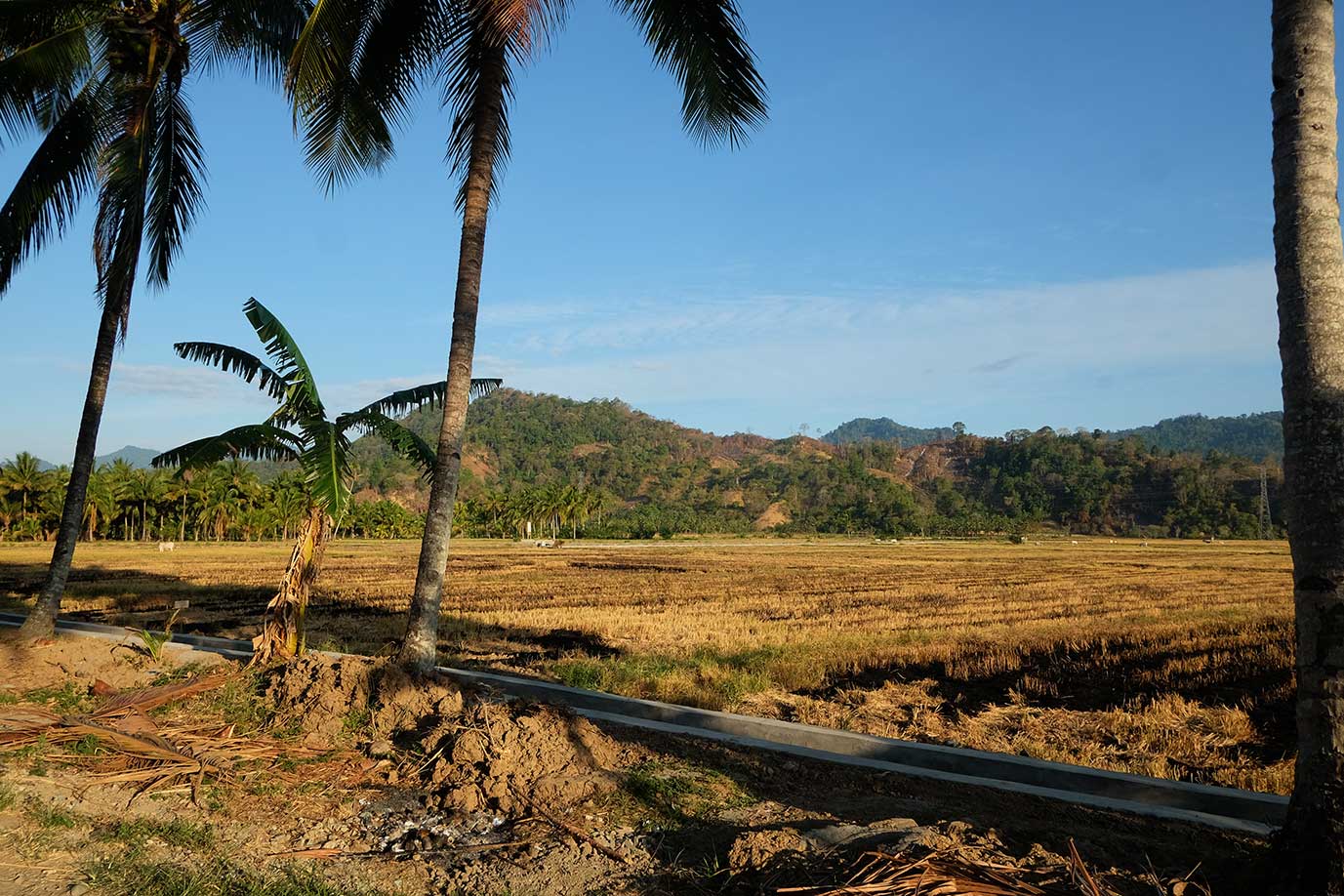 Yang tak pernah dihitung dari krisis iklim 7 sawah