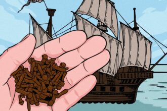 Sejarah Pencatatan Cengkih Sangihe oleh Pelaut Spanyol 1582
