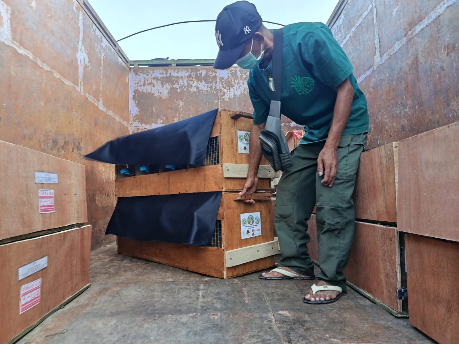 BKSDA Sulut translokasi 58 satwa liar hasil sitaan ke Maluku Utara, mayoritas burung paruh bengkok 9 satwa liar
