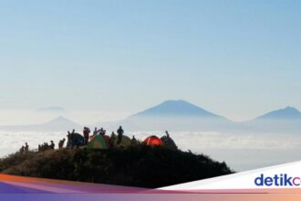 Video Sejoli Diduga Mesum di Gunung Prau Viral